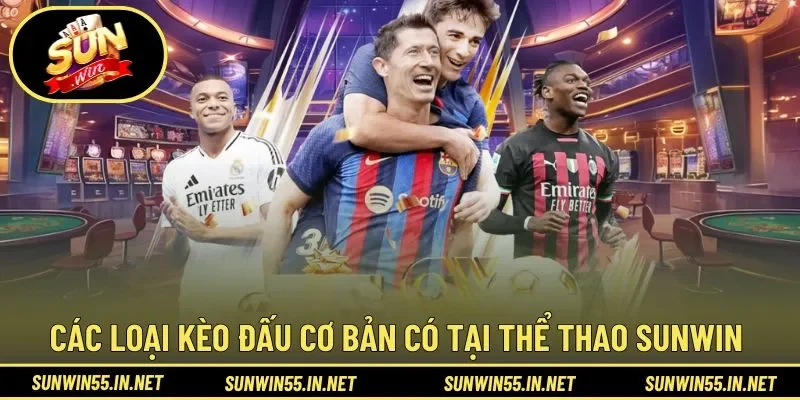 Các loại kèo đấu cơ bản có tại Thể Thao Sunwin