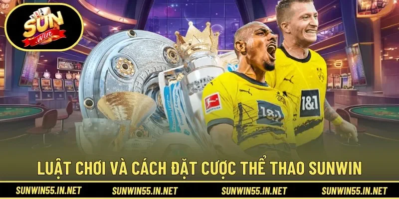 Luật chơi và cách đặt cược trên hệ thống Thể Thao Sunwin