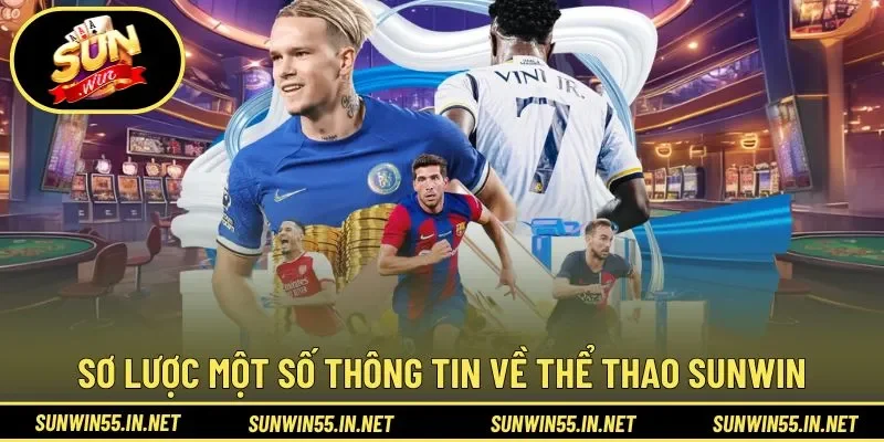 Sơ lược một số thông tin về Thể Thao Sunwin